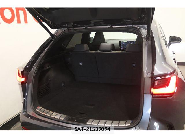Lexus NX 2024-10 7725156-22