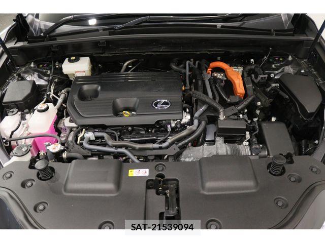Lexus NX 2024-10 7725156-26