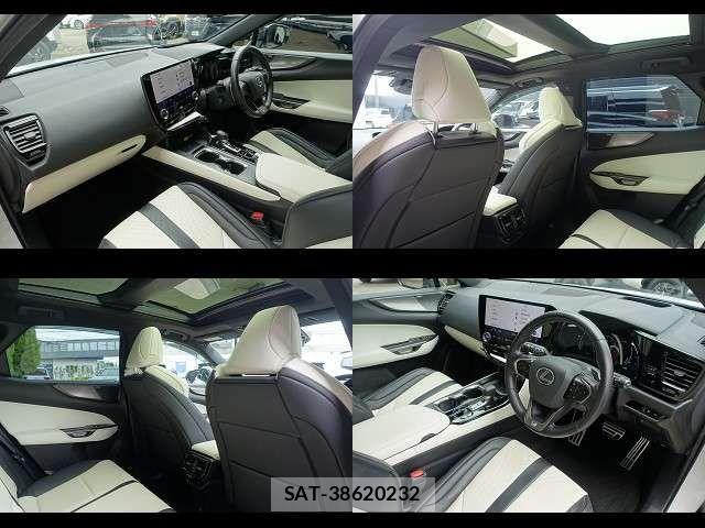 Lexus NX 2023-06 7786602-15