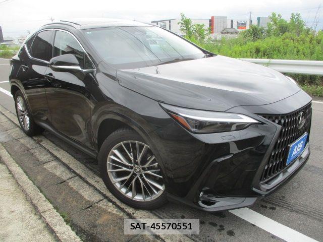 Lexus NX 2025-06 7877437-0