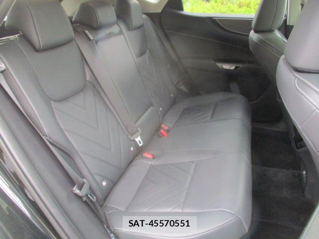 Lexus NX 2025-06 7877437-9