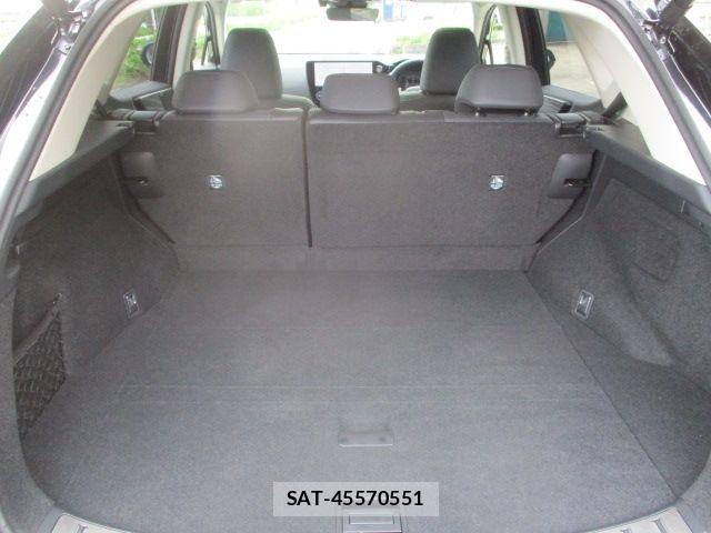 Lexus NX 2025-06 7877437-13