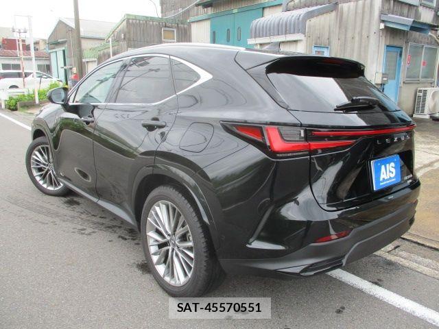 Lexus NX 2025-06 7877437-2