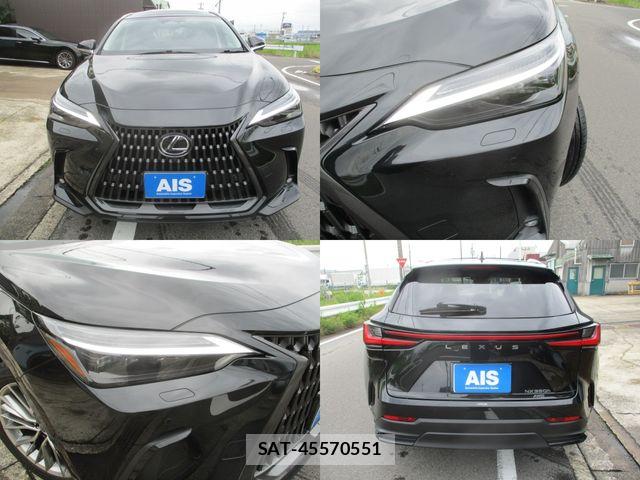 Lexus NX 2025-06 7877437-4