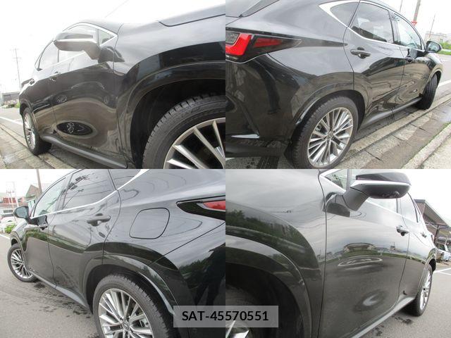 Lexus NX 2025-06 7877437-5