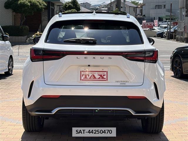 Lexus NX 2023-06 7877438-5