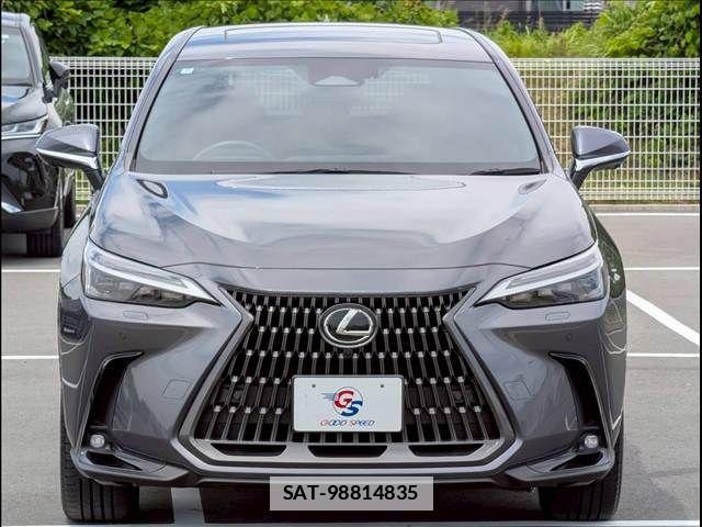 Lexus NX 2024-07 7877436-11