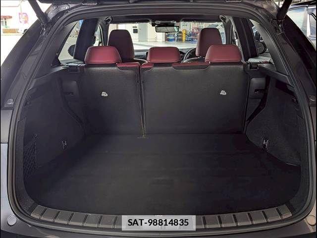 Lexus NX 2024-07 7877436-12