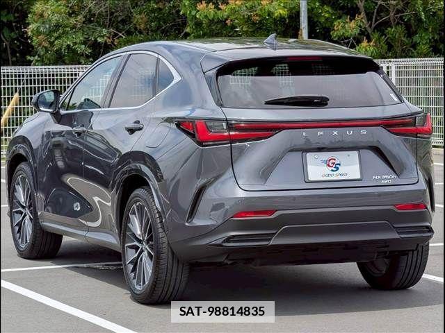 Lexus NX 2024-07 7877436-15