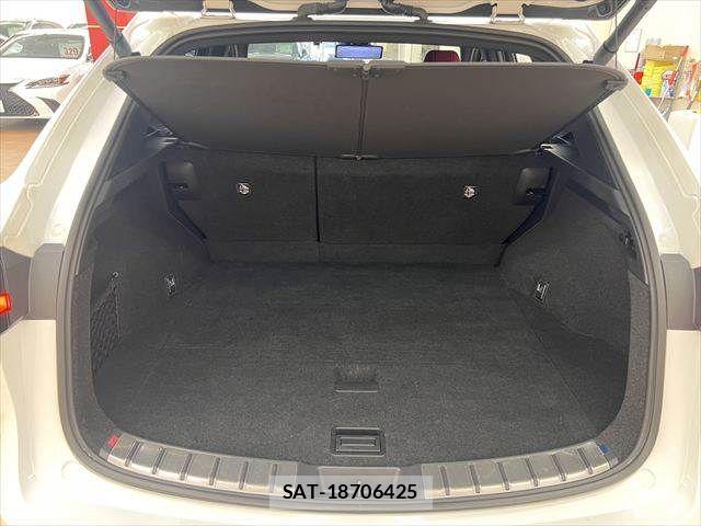 Lexus NX 2023-06 7902870-9