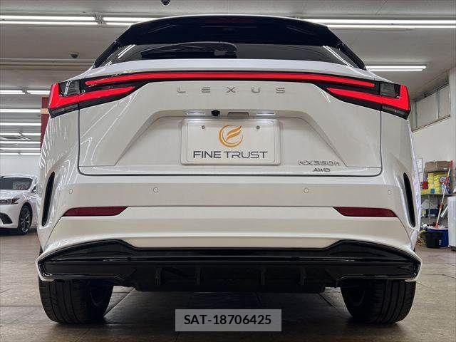 Lexus NX 2023-06 7902870-17