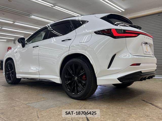 Lexus NX 2023-06 7902870-19