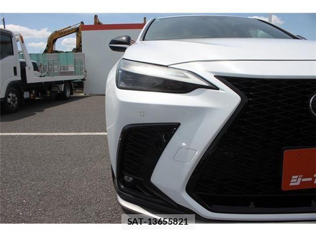 Lexus NX 2023-06 7962446-21