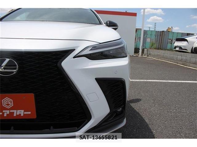 Lexus NX 2023-06 7962446-24