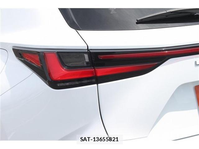 Lexus NX 2023-06 7962446-27