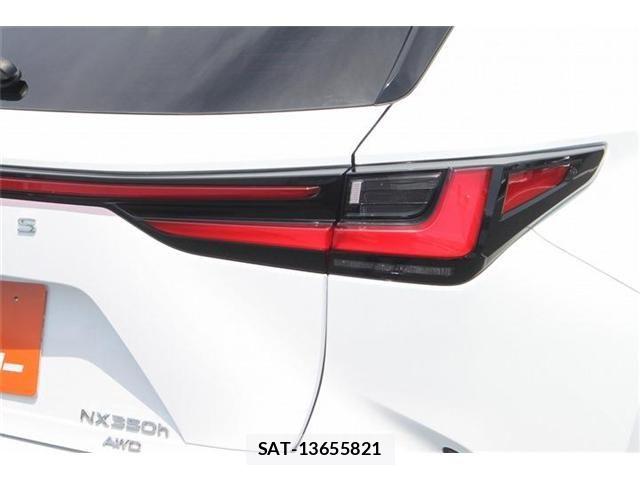 Lexus NX 2023-06 7962446-28