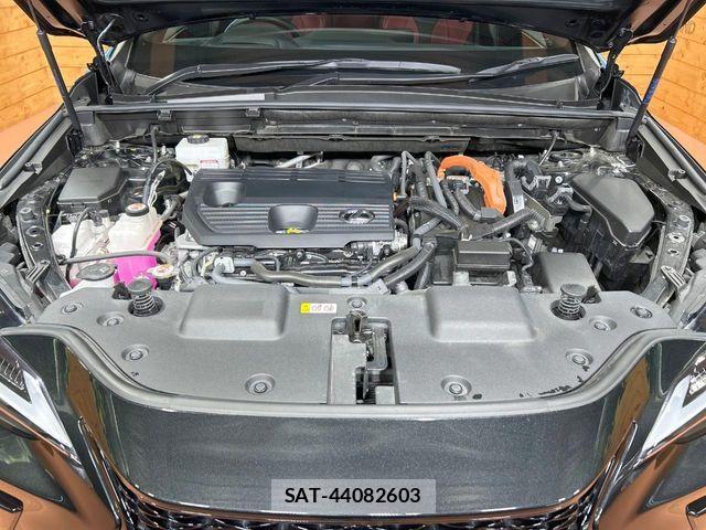 Lexus NX 2024-01 7962444-17