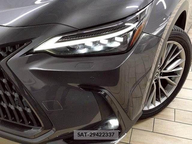 Lexus NX 2022-05 7962447-11