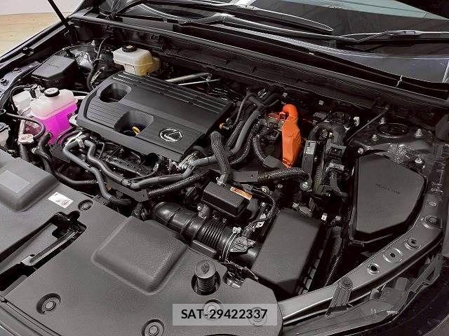 Lexus NX 2022-05 7962447-13