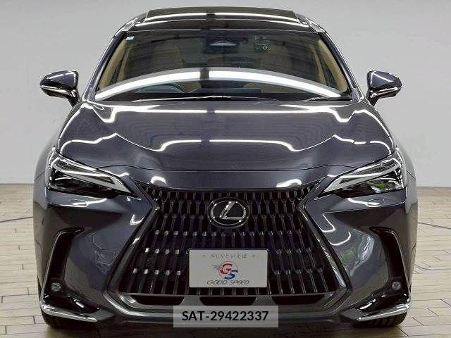 Lexus NX 2022-05 7962447-14