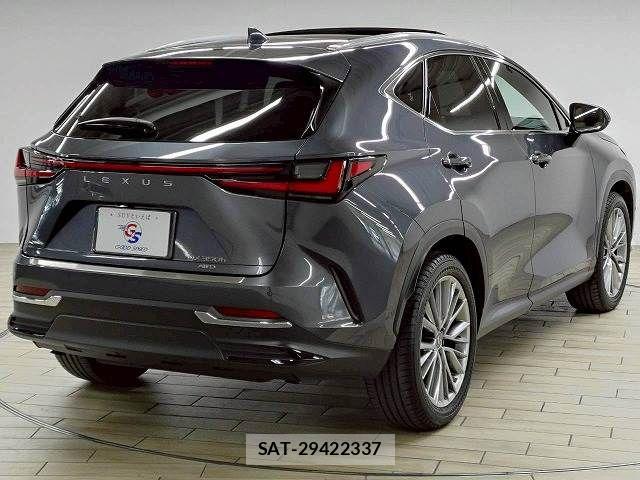Lexus NX 2022-05 7962447-15