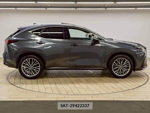 Lexus NX 2022-05 7962447-16
