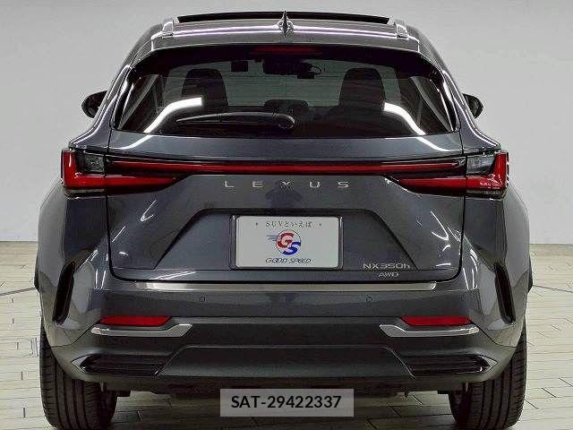 Lexus NX 2022-05 7962447-18