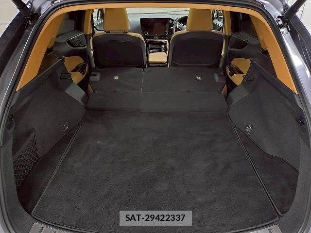 Lexus NX 2022-05 7962447-19