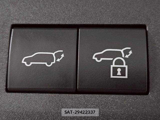 Lexus NX 2022-05 7962447-6