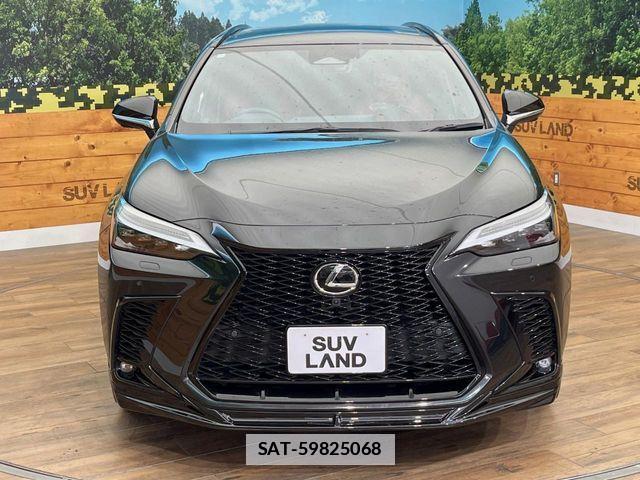 Lexus NX 2024-02 7962445-14