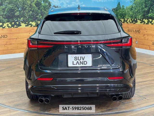 Lexus NX 2024-02 7962445-15
