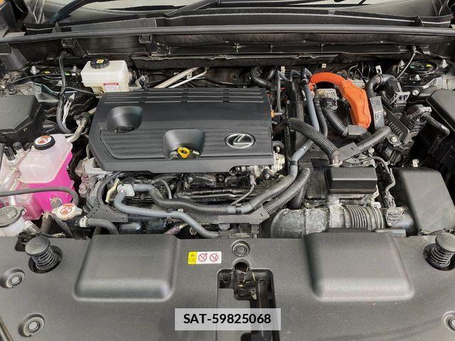Lexus NX 2024-02 7962445-18