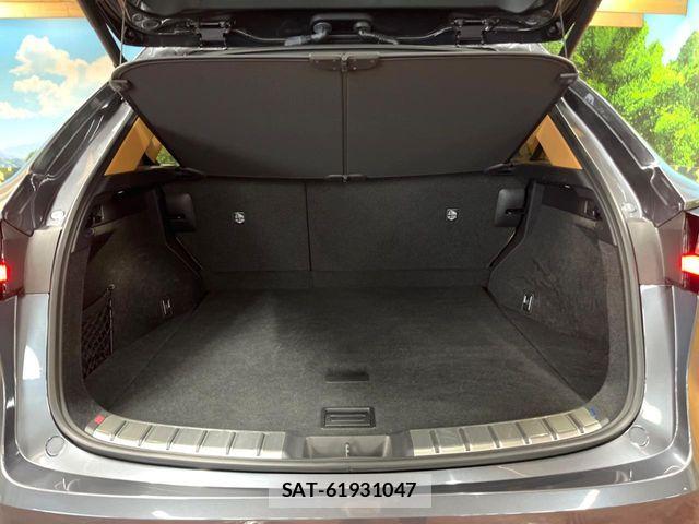 Lexus NX 2023-09 7962449-9