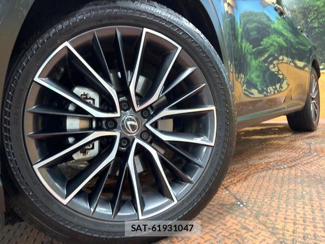 Lexus NX 2023-09 7962449-11