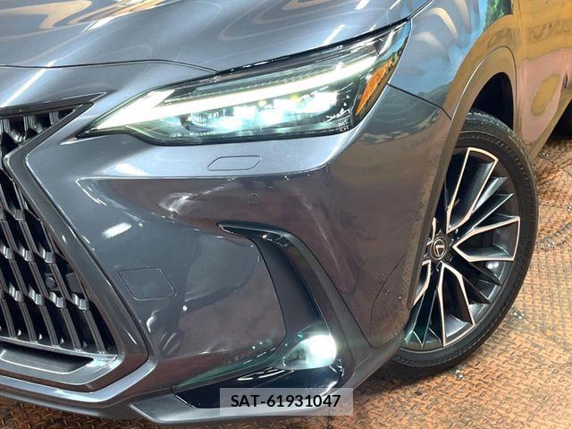 Lexus NX 2023-09 7962449-12