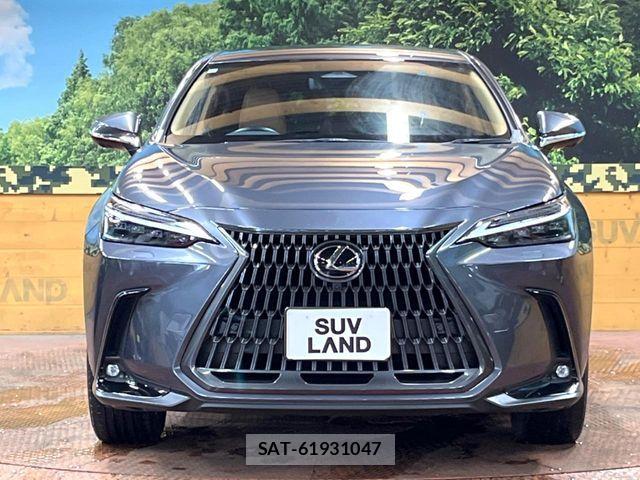 Lexus NX 2023-09 7962449-13