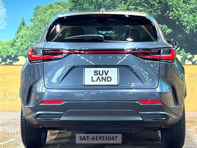 Lexus NX 2023-09 7962449-14