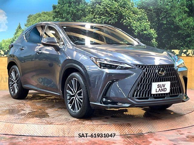 Lexus NX 2023-09 7962449-15