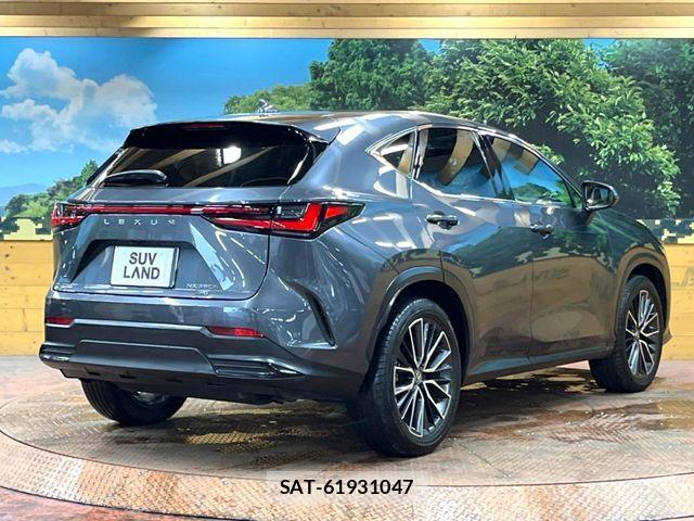 Lexus NX 2023-09 7962449-16