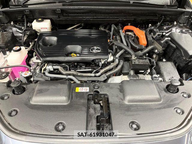 Lexus NX 2023-09 7962449-17