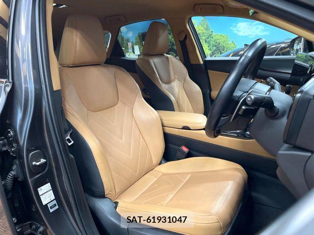 Lexus NX 2023-09 7962449-7