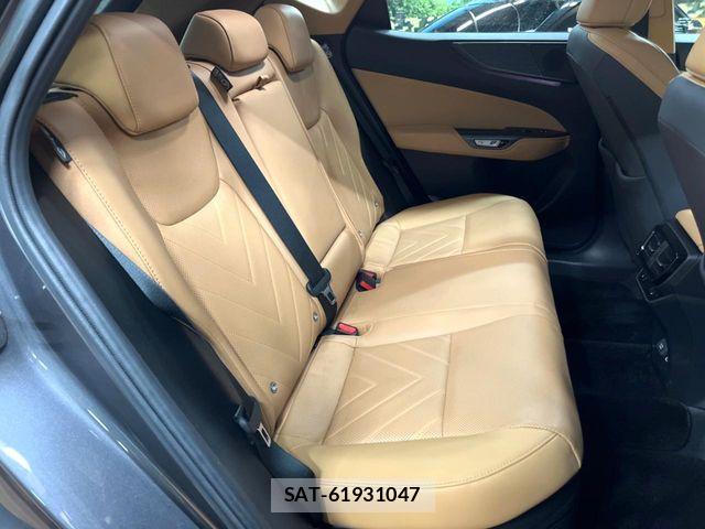 Lexus NX 2023-09 7962449-8
