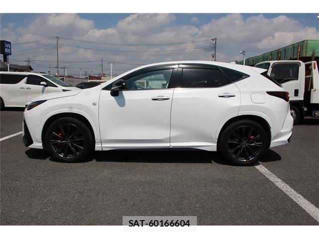Lexus NX 2022-12 8074379-10