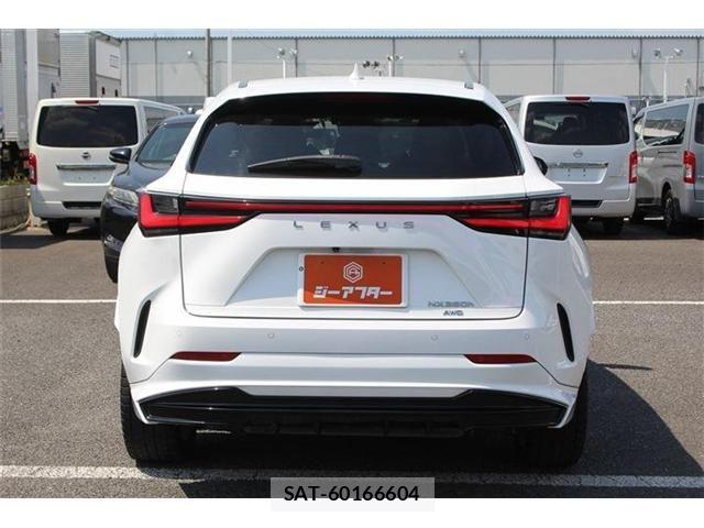 Lexus NX 2022-12 8074379-12