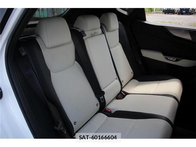 Lexus NX 2022-12 8074379-22