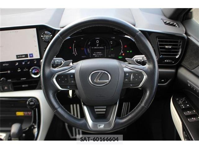 Lexus NX 2022-12 8074379-27