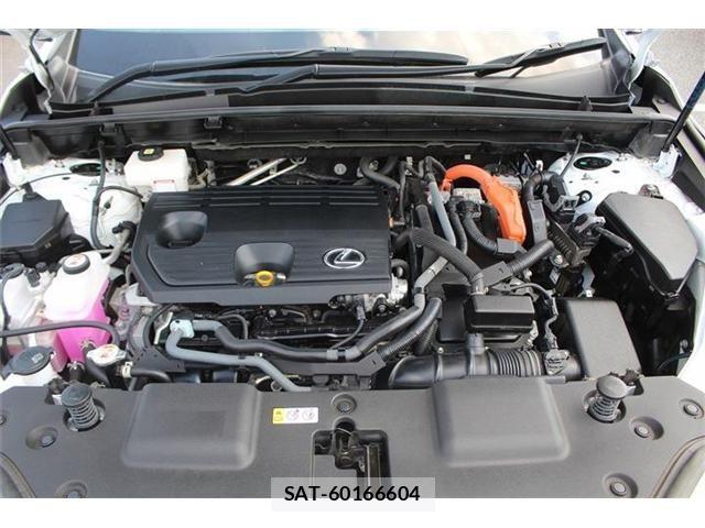 Lexus NX 2022-12 8074379-29
