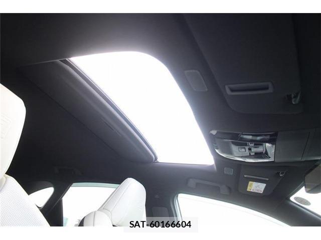 Lexus NX 2022-12 8074379-3