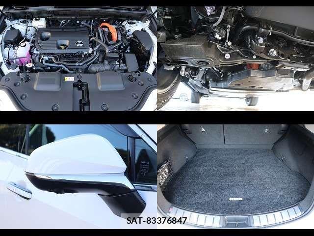 Lexus NX 2025-11 8074377-26