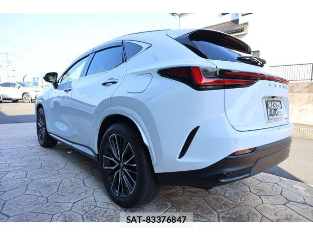 Lexus NX 2025-11 8074377-4